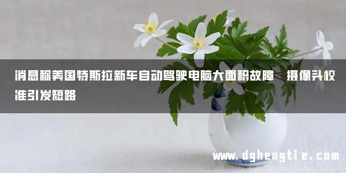 消息称美国特斯拉新车自动驾驶电脑大面积故障 摄像头校准引发短路